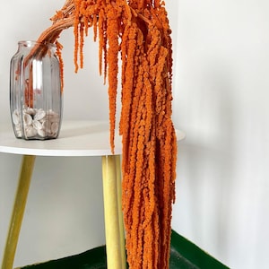 Dried wisteria flowers, Amaranthus Flower, Natural Bleached Amaranthus Hanging Vine Flowers, dried hanging flowers Wedding Home Decor Orange