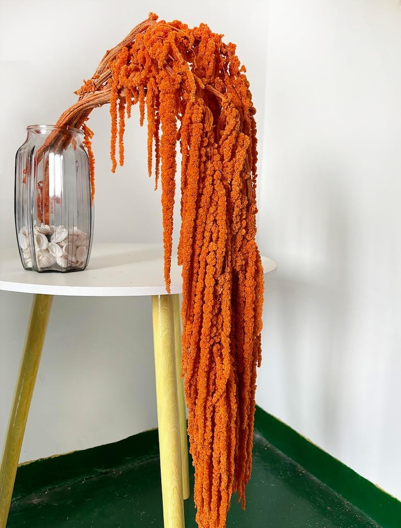 Dried wisteria flowers, Amaranthus Flower, Natural Bleached Amaranthus Hanging Vine Flowers, dried hanging flowers Wedding Home Decor Orange