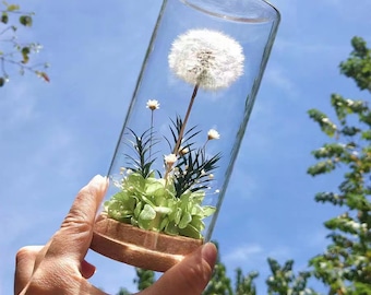 天然タンポポの本物のドライフラワー、天然デイジーのドライフラワー、永遠の花ガラスカバーギフトセンターピース卓上ホームデコレーション