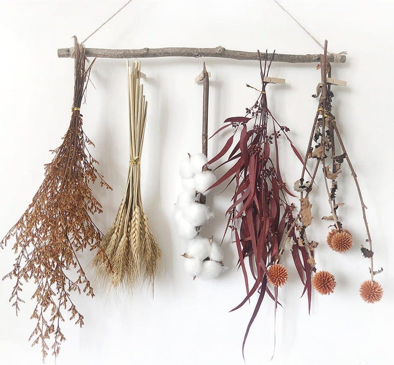 May include: A wooden branch with five hanging items: dried brown flowers, dried wheat stalks, white cotton balls, red dried flowers, and brown dried flowers with small round seed pods.