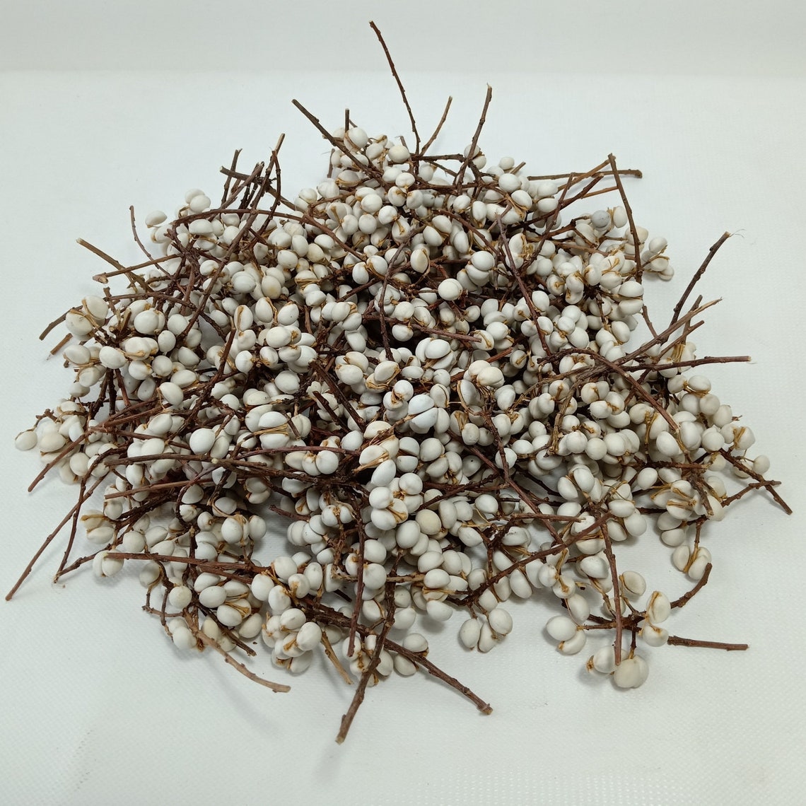 GHY Decor Dried Natural Tallow Berries Stem White for Wedding Etsy