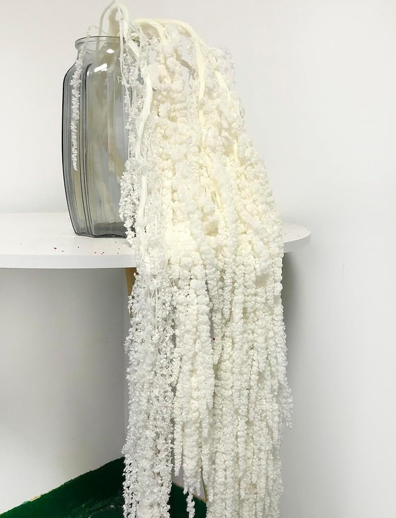 Dried wisteria flowers, Amaranthus Flower, Natural Bleached Amaranthus Hanging Vine Flowers, dried hanging flowers Wedding Home Decor White