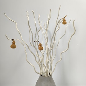 May include: White twig branches arranged in a vase with three small, light brown gourds hanging from the branches.