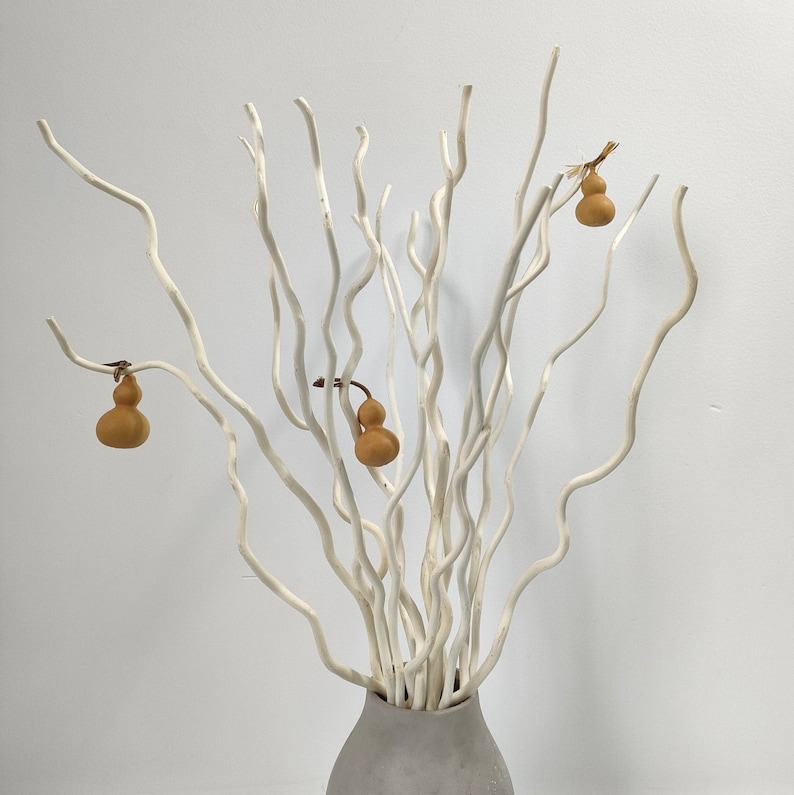 May include: White twig branches arranged in a vase with three small, light brown gourds hanging from the branches.