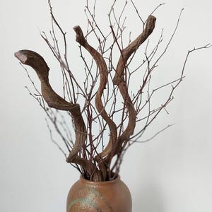 Dried Natural Rattan Vine, Decorative Curly Willow Branches, Long Thick Curly Branch Sticks Dried Twigs for Home Decor Winter Decoration