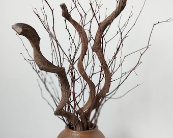 Dried Natural Rattan Vine, Decorative Curly Willow Branches, Long Thick Curly Branch Sticks Dried Twigs for Home Decor Winter Decoration