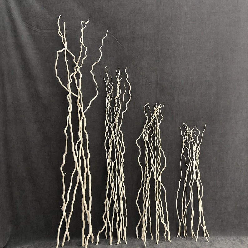 May include: Five different sizes of white curly willow branches arranged in order of size from largest to smallest. The branches are all white and have a natural, rustic look.