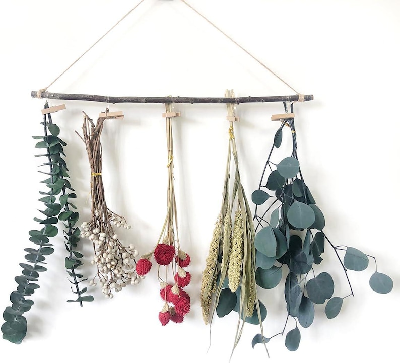 May include: A wooden branch with five sprigs of dried flowers and greenery hanging from it. The sprigs include red flowers, white berries, beige grasses, and green eucalyptus leaves.