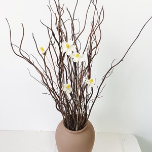 20 Stems of Curly Willow Branches, Natural Dried Willow Twigs, Wedding Home Garden Decoration, Real Branches Twigs, Wood Sticks Decor