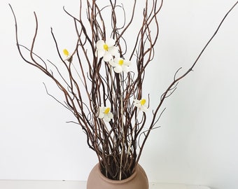 20 Stems of Curly Willow Branches, Natural Dried Willow Twigs, Wedding Home Garden Decoration, Real Branches Twigs, Wood Sticks Decor