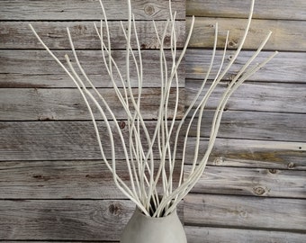 May include: A white ceramic vase filled with white, slender branches. The vase is on a wooden background.