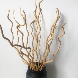 May include: A vase filled with a bunch of curly, light brown willow branches.