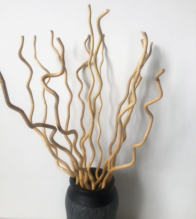 May include: A vase filled with a bunch of curly, light brown willow branches.
