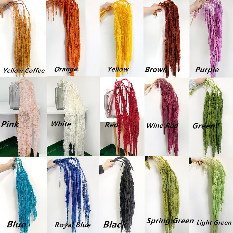 Dried wisteria flowers, Amaranthus Flower, Natural Bleached Amaranthus Hanging Vine Flowers, dried hanging flowers Wedding Home Decor image 7