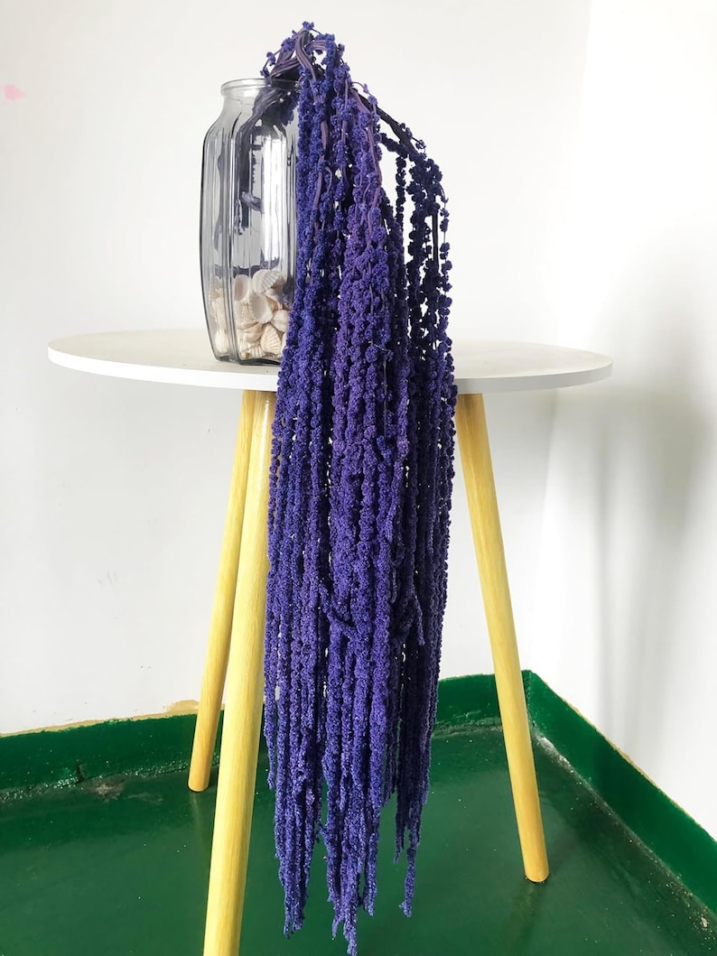 Dried wisteria flowers, Amaranthus Flower, Natural Bleached Amaranthus Hanging Vine Flowers, dried hanging flowers Wedding Home Decor Violet