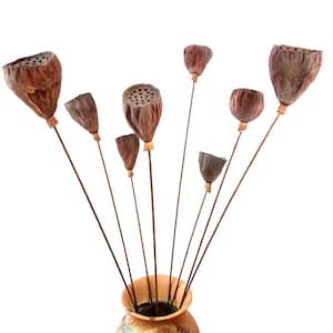 May include: A vase filled with dried lotus pods on thin stems. The pods are brown and have a textured surface. The vase is brown and has a textured surface.