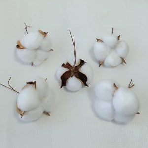 25 Pcs Natural Cotton Bolls Balls, Dried White Cotton for DIY Handicrafts, Garland, Wreaths, Home Decor, Flower Arrangements Farmhouse Style