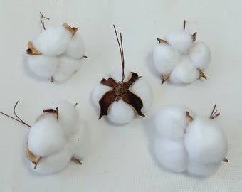 25 stuks natuurlijke katoenen bollenballen, gedroogd wit katoen voor doe-het-zelf handwerk, slinger, kransen, woondecoratie, bloemstukken boerderijstijl