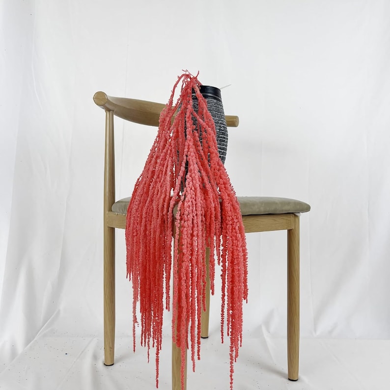 Dried wisteria flowers, Amaranthus Flower, Natural Bleached Amaranthus Hanging Vine Flowers, dried hanging flowers Wedding Home Decor Watermelon Red