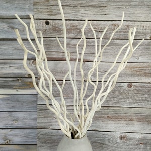 Curly Willow Branches Dried Curly Willow Branches 100% Natural Decorative 14 Stems White Sticks 23 Inch Small Real Gourds  for Home Decor