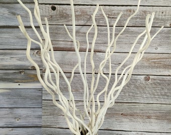 Curly Willow Branches Dried Curly Willow Branches 100% Natural Decorative 14-15 Stems White Sticks 21 Inch for Home Decor