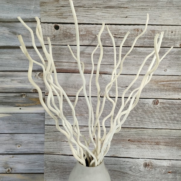 Branches de saule bouclés Branches de saule bouclés séchées 100% naturelles décoratives 14 tiges bâtons blancs 23 pouces petites vraies calebasses pour la décoration intérieure