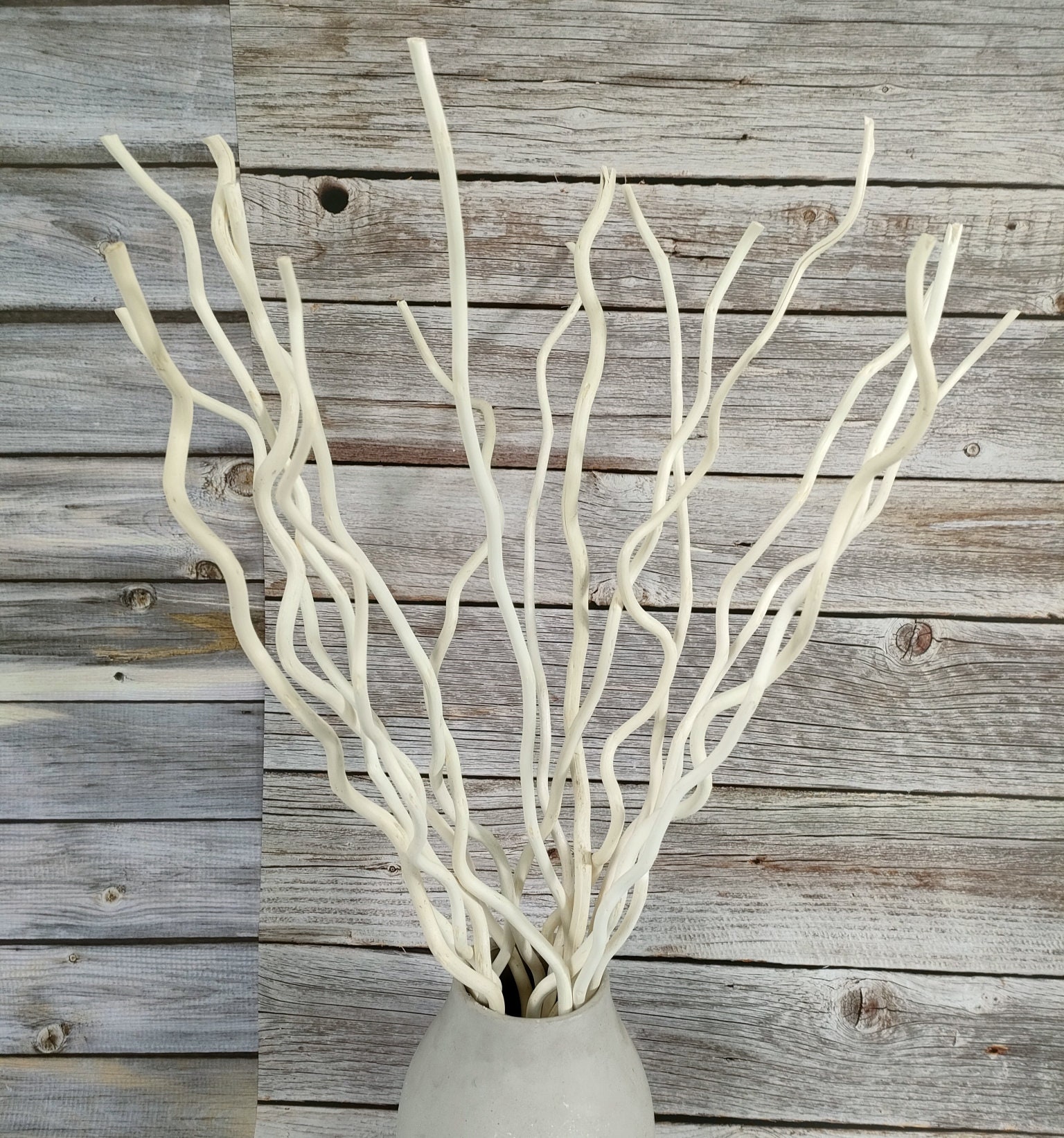 Curly Willow Branches for Arrangements - Long Stem Natural