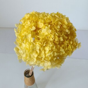 以下が含まれることがあります： 透明なガラスの花瓶に、茶色の麻ひもで首を巻いた、乾燥した黄色のアジサイの花束