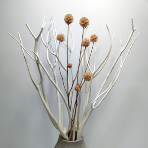 GHY Decor 5 Pcs White Mitsumata Branches Dried Branch Arrangements for Vases, Natural Tree Branches Home Decor