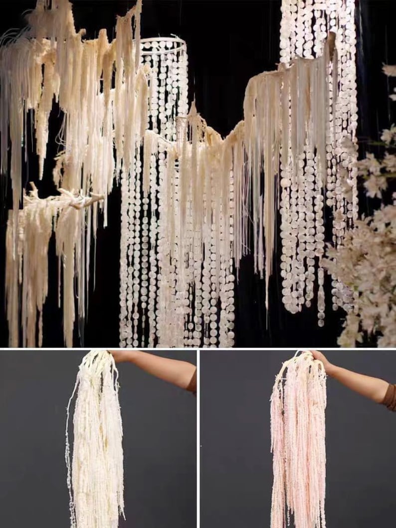 Dried wisteria flowers, Amaranthus Flower, Natural Bleached Amaranthus Hanging Vine Flowers, dried hanging flowers Wedding Home Decor image 4