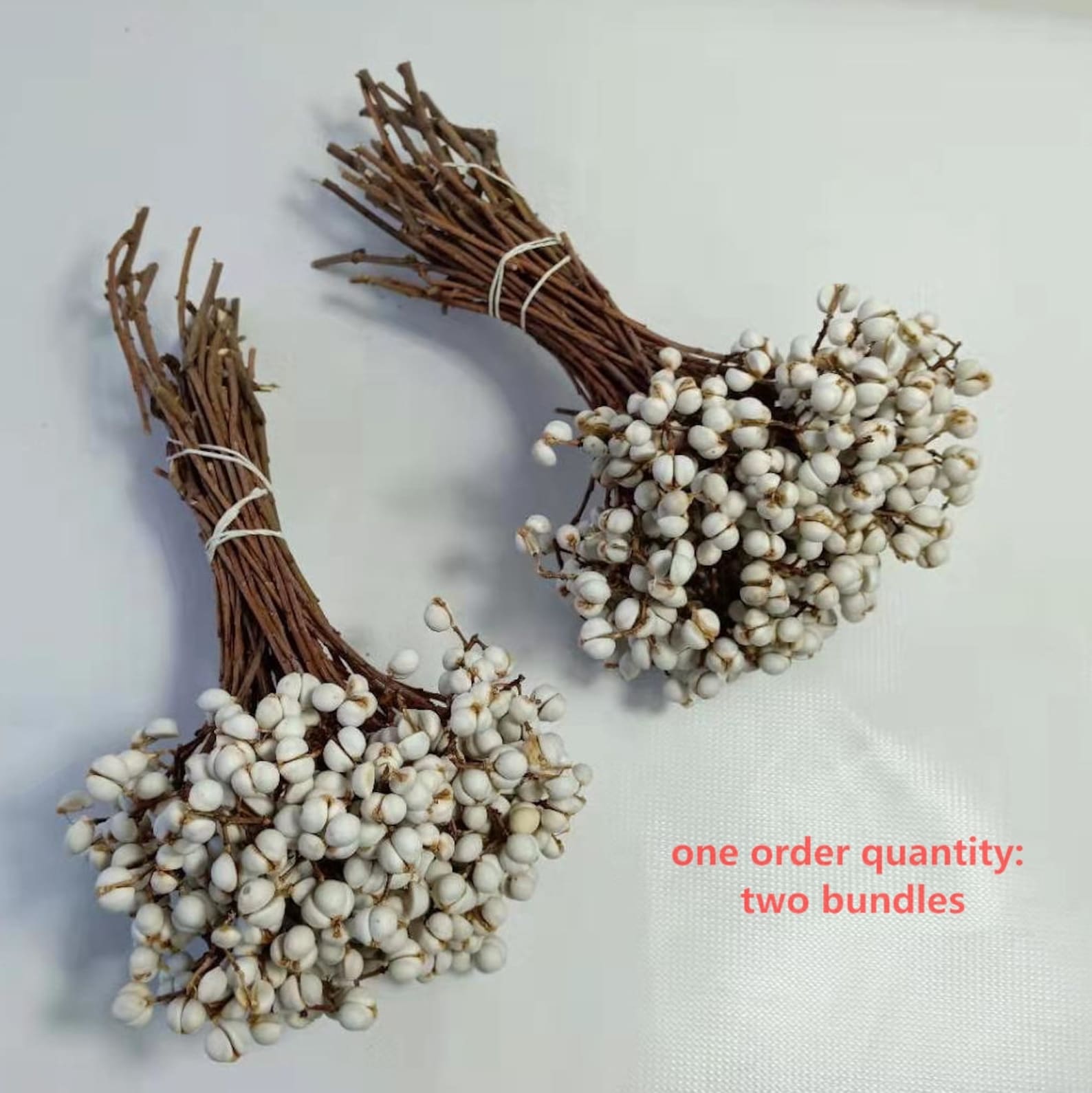 GHY Decor Dried Natural Tallow Berries Stem White for Wedding Etsy