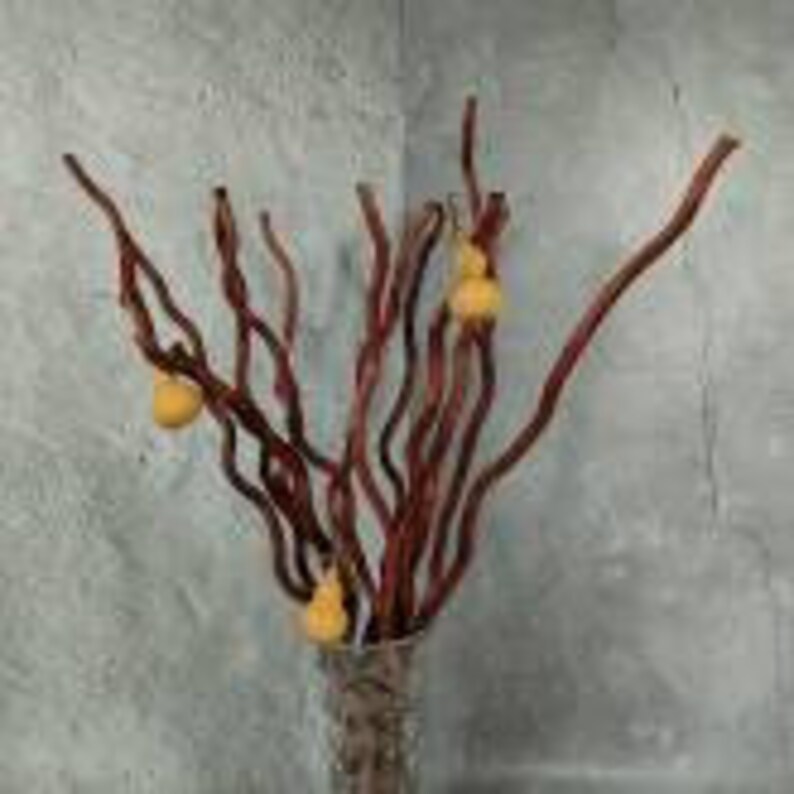 58 Cm Dried Curly Willow Branches, 15 Stems Dried Twigs Wooden Sticks