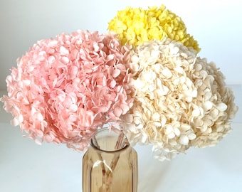 GHY Decor  Real Dried Flowers Preserved Hydrangea Bouquet, Natural Dried Hydrangeas on Stems, 4 Colors Available