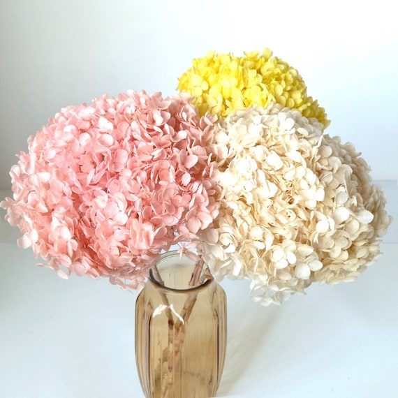 GHY Decor  Real Dried Flowers Preserved Hydrangea Bouquet, Natural Dried Hydrangeas on Stems, 4 Colors Available