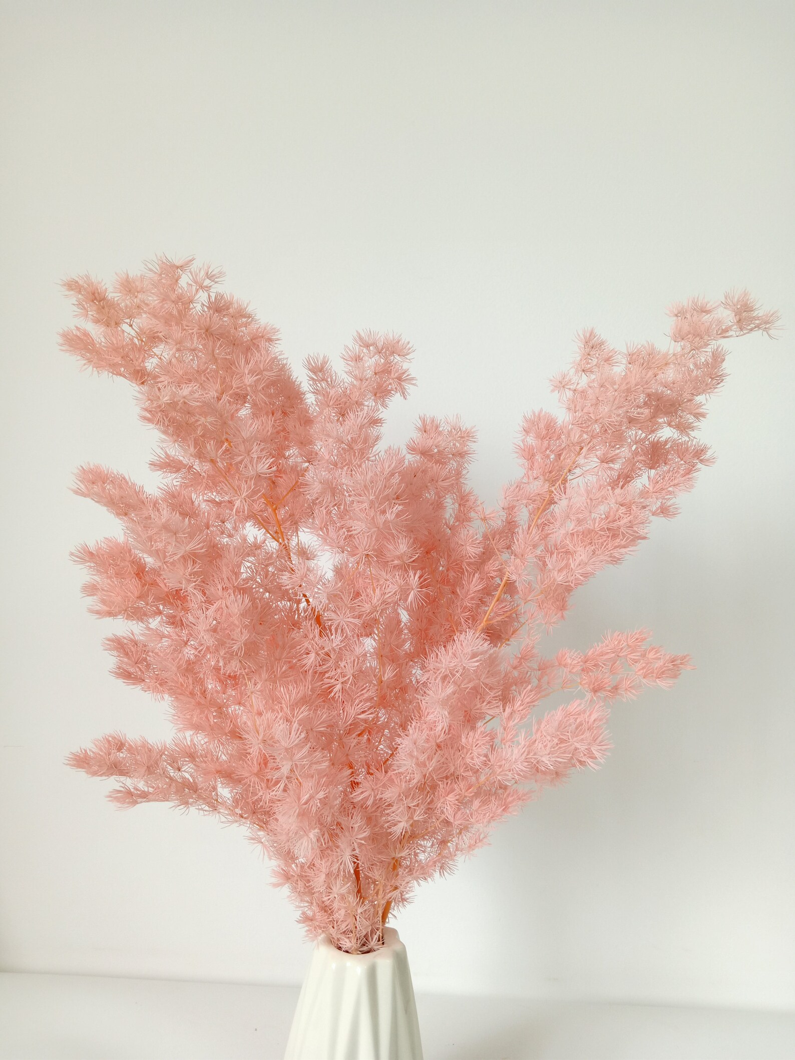 GHY Decor Preserved Ming Fern Pink Color Ming Fern Dried Etsy