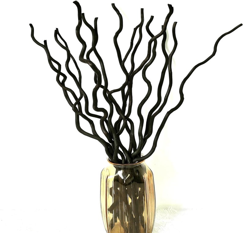 May include: A vase filled with black, curly willow branches. The vase is a clear glass with a gold metallic finish.