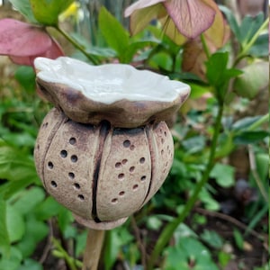 May include: A ceramic poppy seed pod with a white top and brown speckled body. The pod is attached to a wooden stick and is surrounded by green foliage.