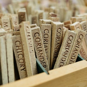 May include: A wooden crate filled with rectangular plant markers. The markers are beige with dark brown text, including the words "Chives" and "Coriander". The crate is made of light-coloured wood.