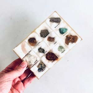 Collezione di minerali d&#39;epoca: 12 pietre grezze in scatola espositiva