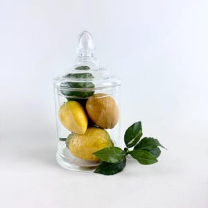 Vintage Clear Glass Apothecary Jar with Lid – Decorative Storage Container – Vintage Kitchen, Bathroom or Shelf Display Jar