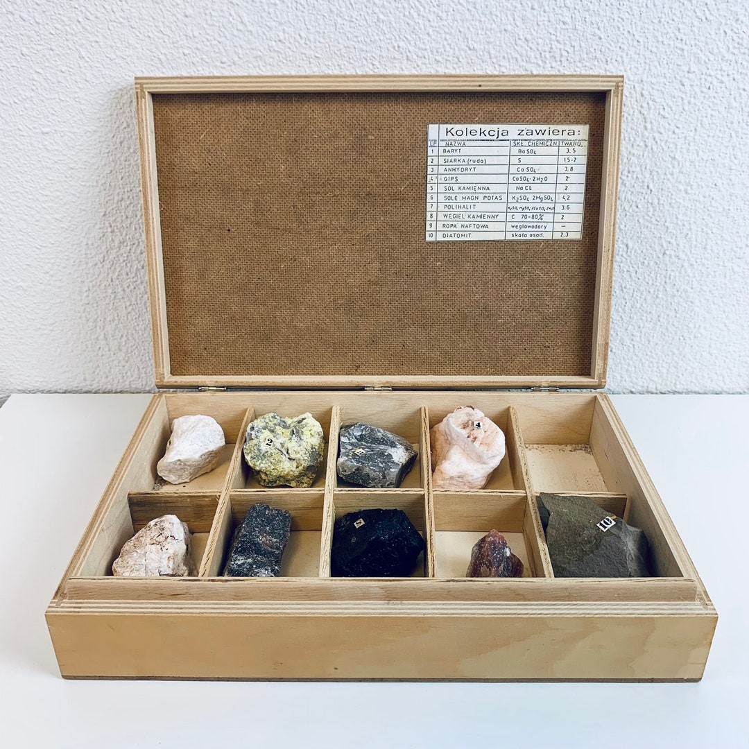 Vintage Science Box With Minerals A Rare Educational Artifact From the