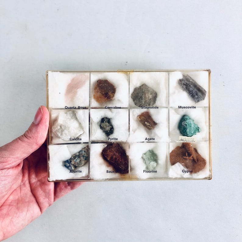 May include: A collection of twelve different mineral specimens displayed in a clear plastic case. Each mineral is labeled with its name, including Quartz Rose, Cornaline, and Muscovite. The case is held in a hand.