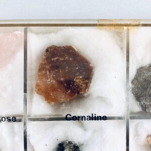 May include: A piece of carnelian stone displayed in a clear plastic case with the word "Carnaline" printed below. The stone is a mix of brown and orange hues, resting on a bed of white cotton.
