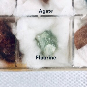 May include: A close-up of a collection of minerals, with a focus on a piece of green Fluorine. The mineral is displayed in a clear plastic container, cushioned by white cotton. The word "Fluorine" is printed below the mineral.
