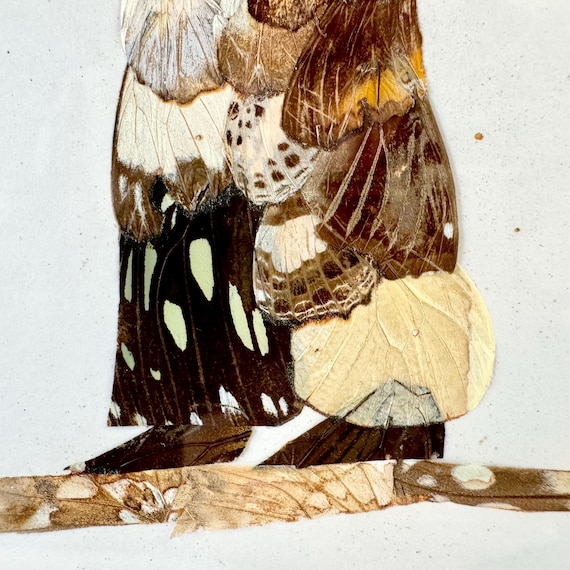 蝶の羽根　羽根絵　額縁付き ヴィンテージの蝶の羽のアート | 額入りアフリカ女性のシルエット