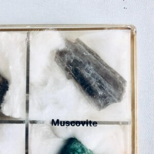 Vintage Crystal & Mineral Set – 12 Rough Stones in Display Box with Labels – Gemstone Collection for Collectors, Decor and Jewelry Making image 8