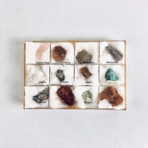 May include: A collection of various gemstones, including Quartz Rose, Cornaline, and Muscovite, displayed in a clear, divided box. Each stone is labeled with its name. The box is set against a white background.