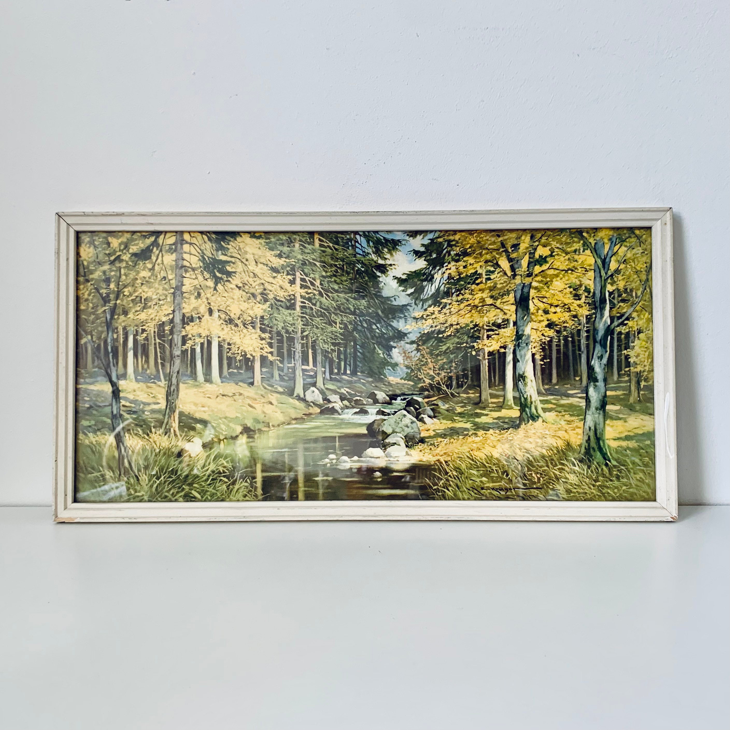 Vintage 1950s Framed Forest Landscape Print: Mid-century Nature