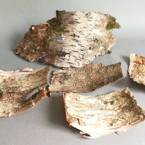 5er Set Birkenrinde | Natürliches Bastelzubehör für die Kunst- & Geschenkverpackung | Rustikales Natur Dekor Material | Umweltfreundliches Basteln