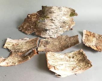 5psc of Real Birch Bark Pieces / Birch Wood Sheets / Natural Xmas Craft Supplies / Set of Floral Decorations / Easter Gift Wrapping Decor